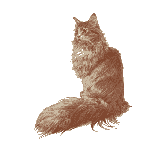 猫用特集ページ