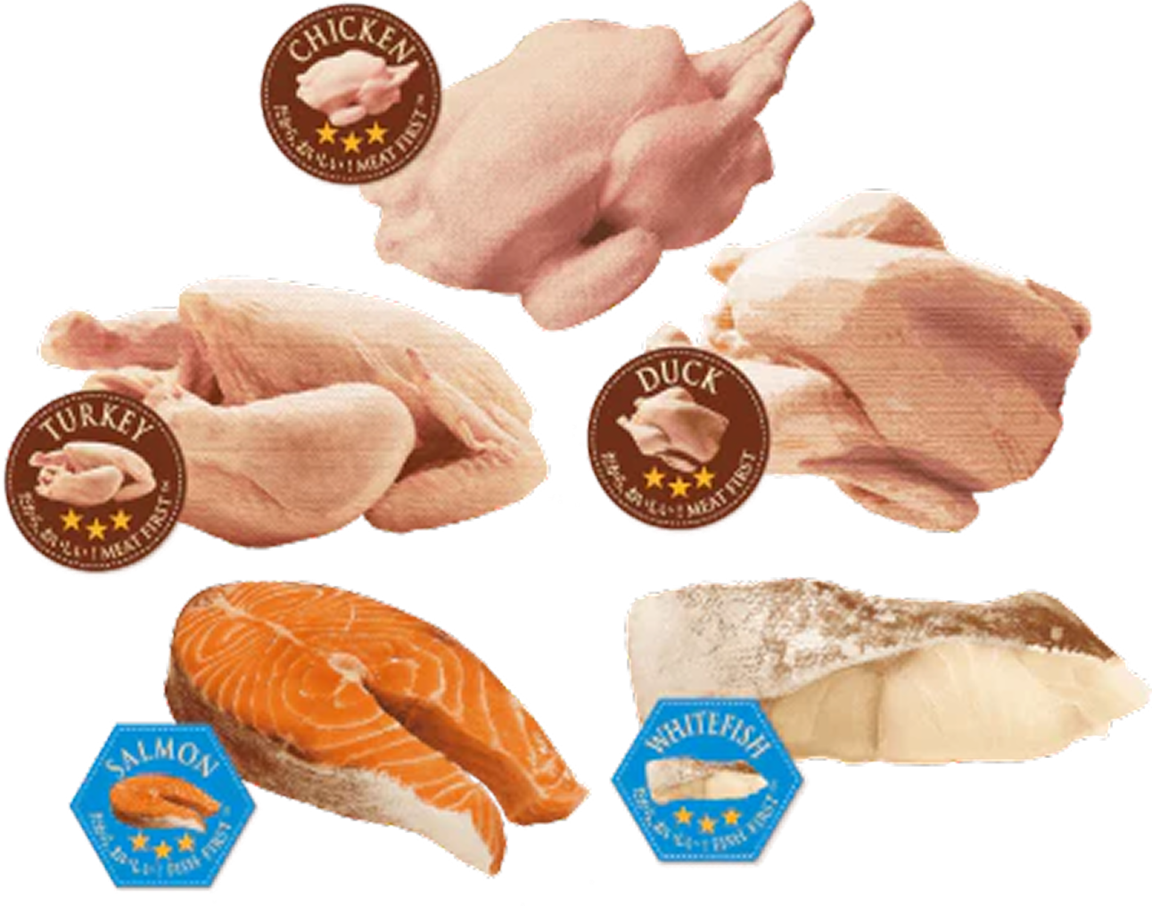 ミート/フィッシュ ファースト（猫）