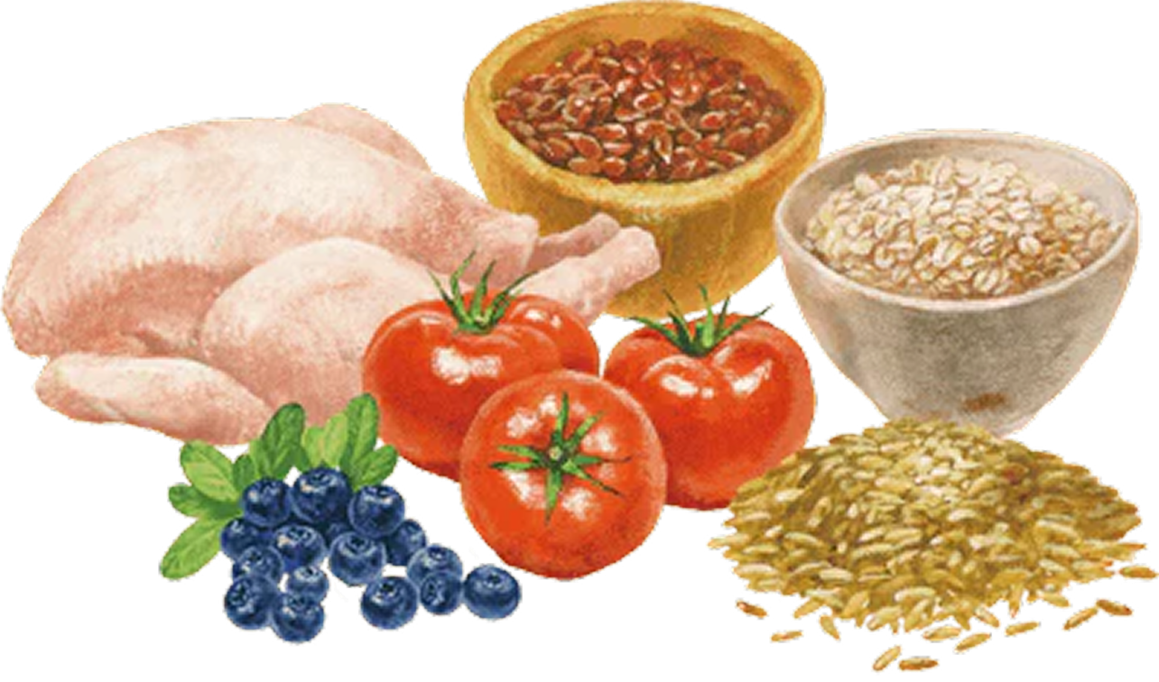 自然素材を活かした総合栄養食（猫）