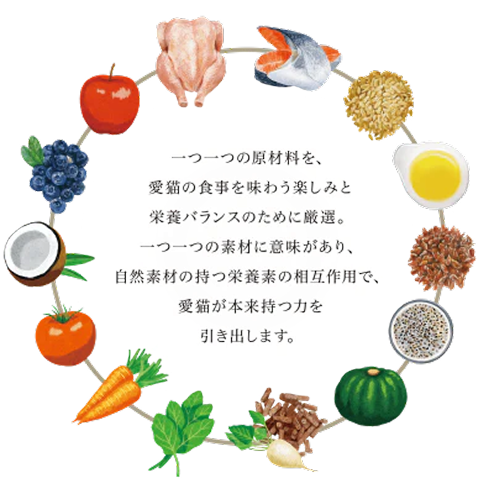 ホリスティック・ブレンド