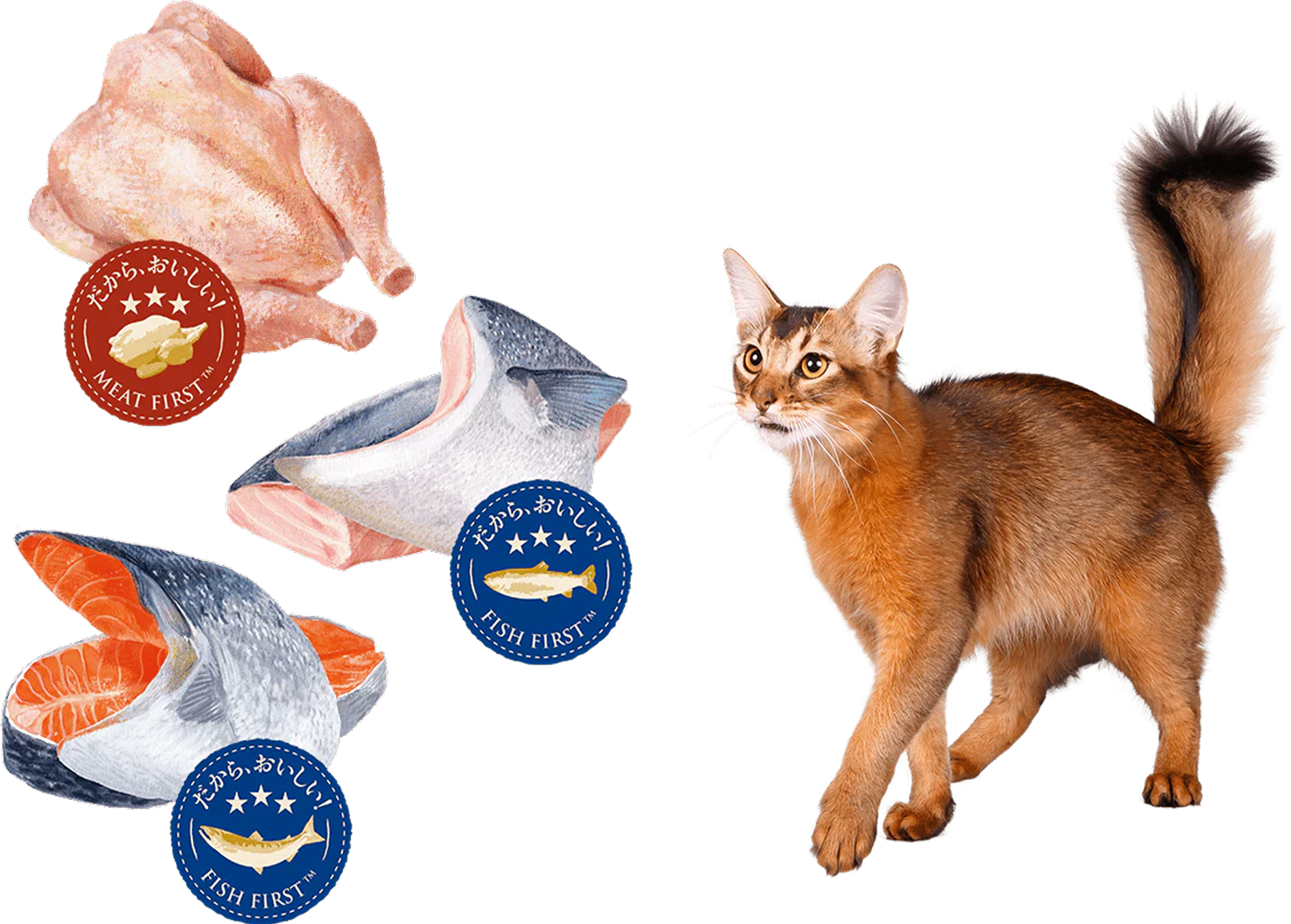 ニュートロ シュプレモ（猫）