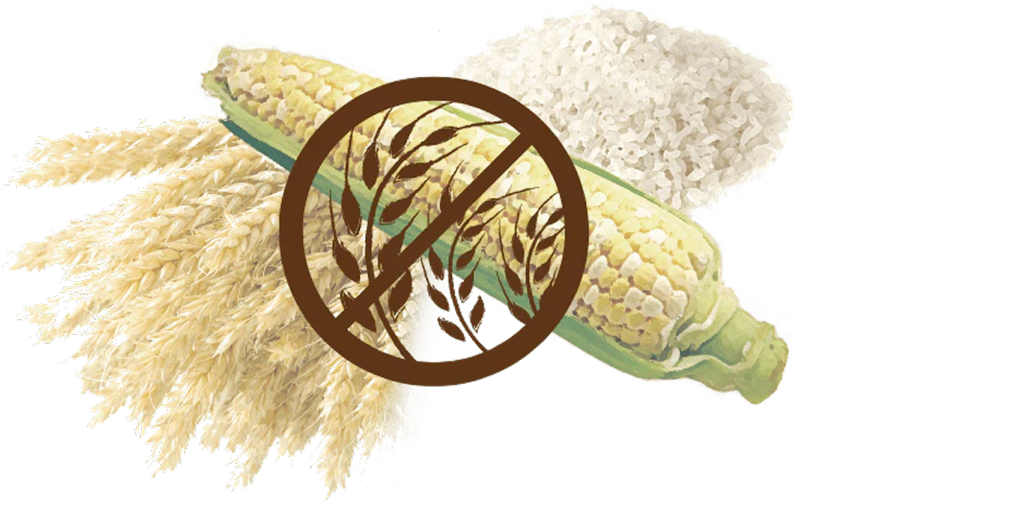 穀物フリー（猫）