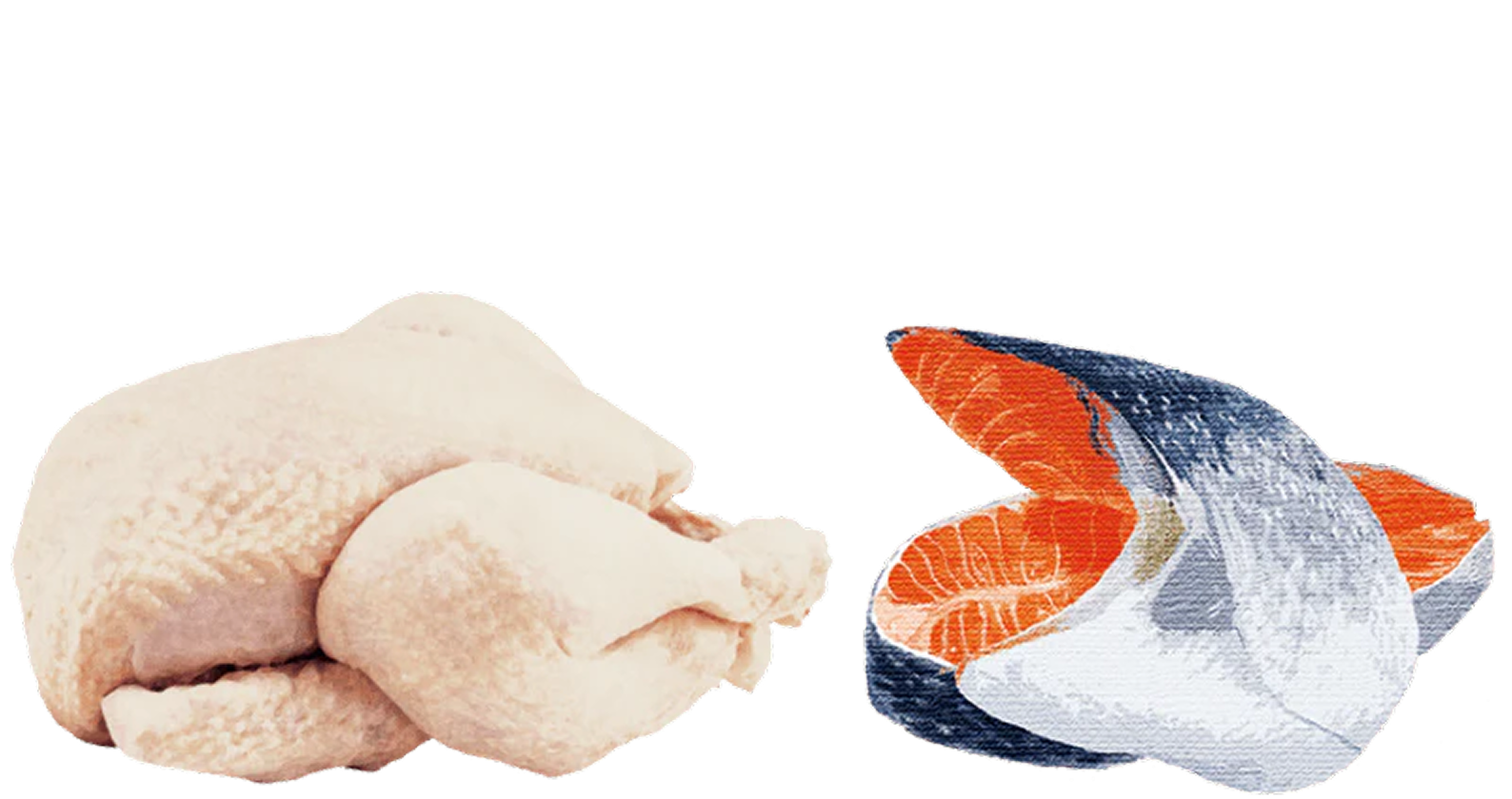 ミート/フィッシュ ファースト（猫）