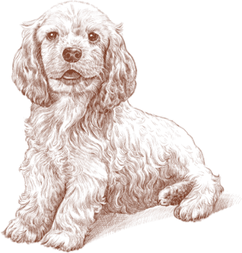 豊富なラインアップ