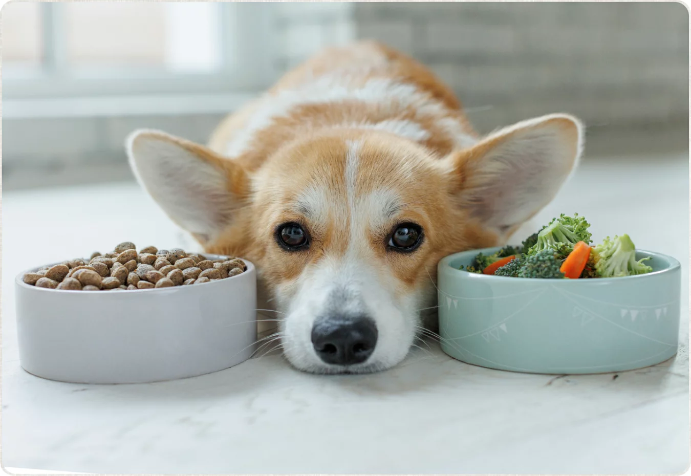 ニュートロの理由