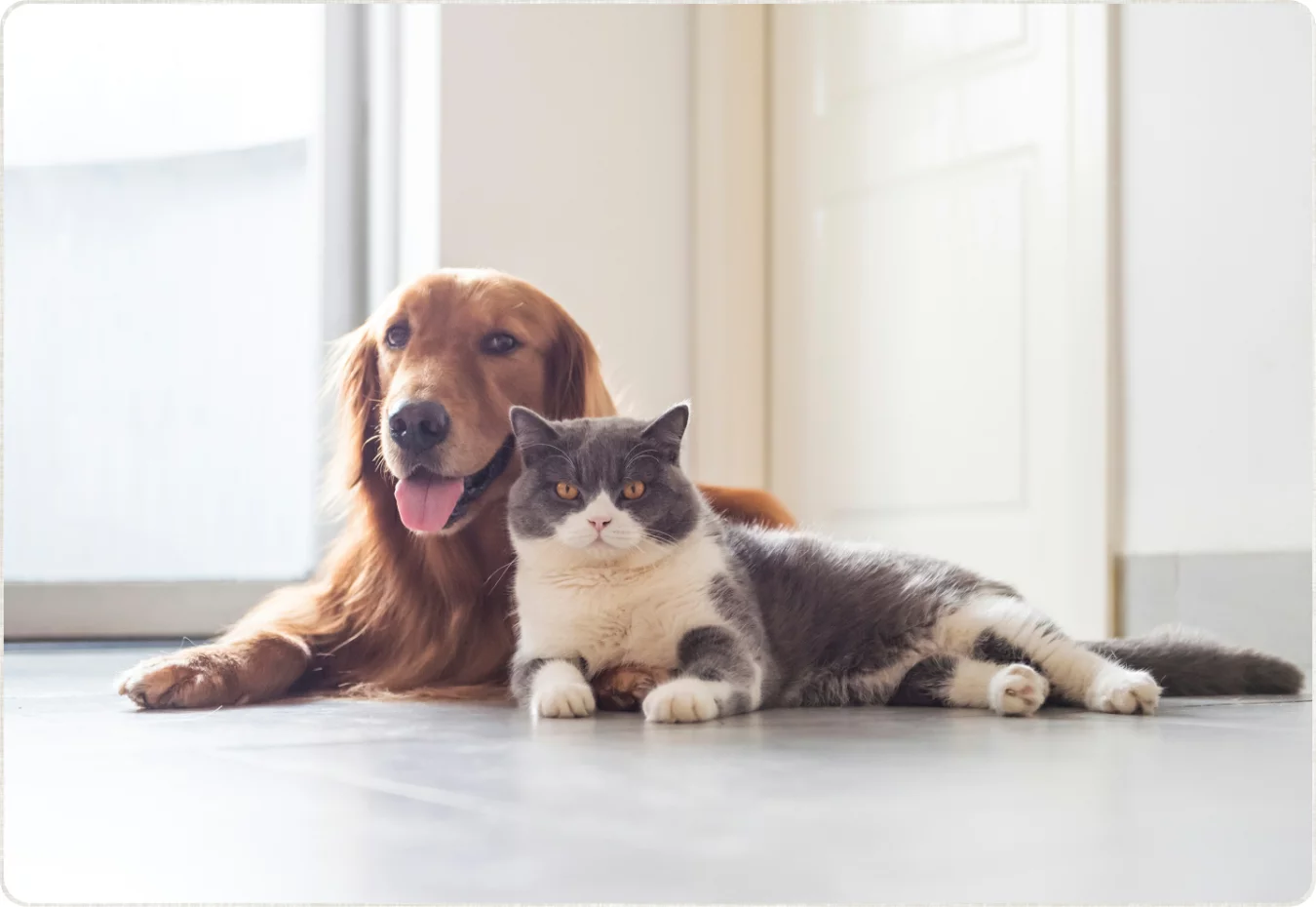 自然素材へのこだわり