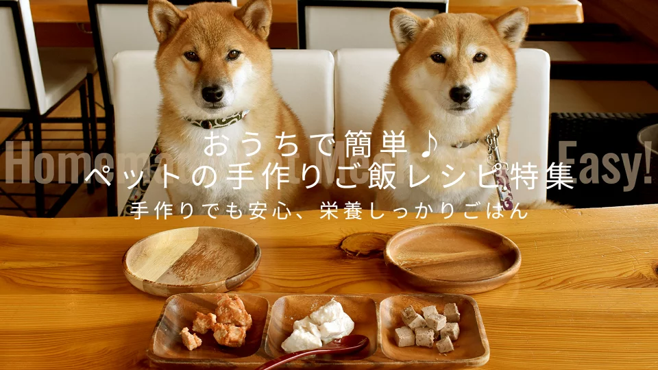 おうちで簡単！ペットの手作りご飯レシピ特集