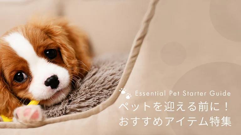 ペットのお迎えに必要な準備とおすすめアイテム