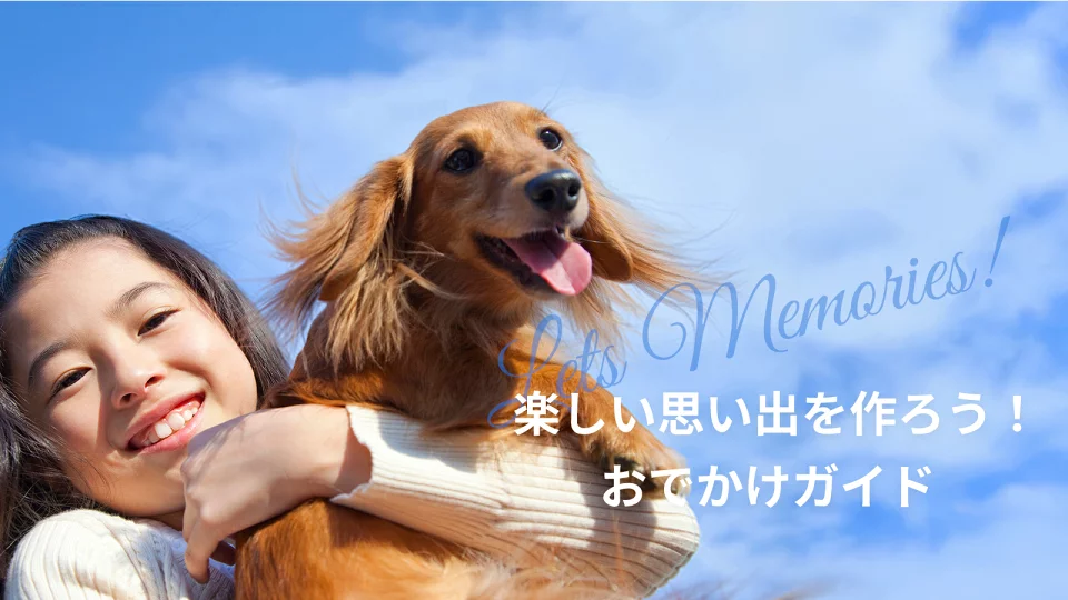 楽しい思い出を作ろう！おでかけガイド