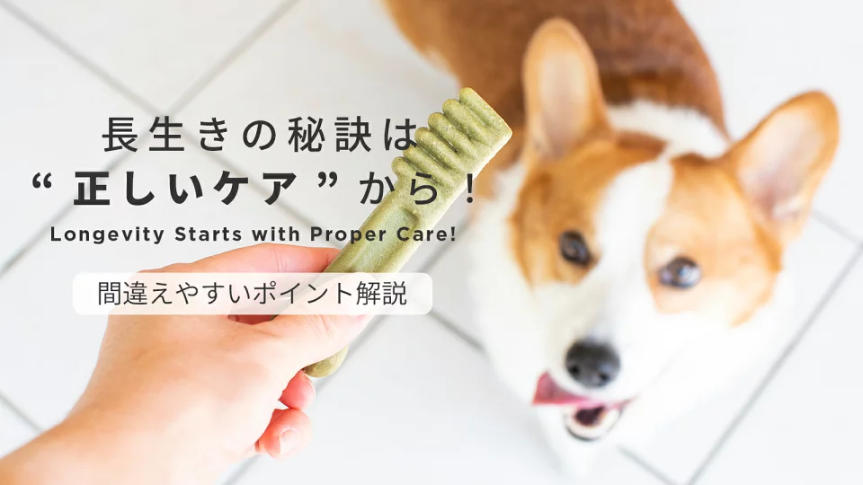 長生きの秘訣は