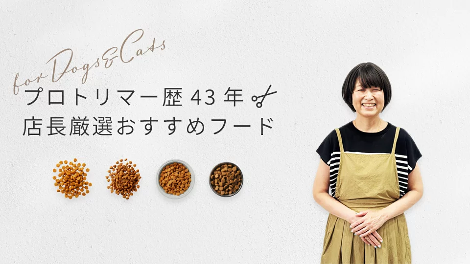 トリマー歴43年の店長がおススメのフード